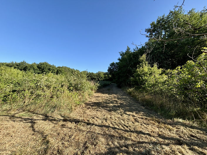 Image No.9-3 Bed House for sale