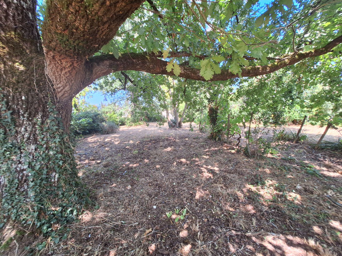 Image No.20-3 Bed House for sale