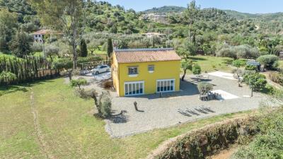 YPIS2731_6_Finca5