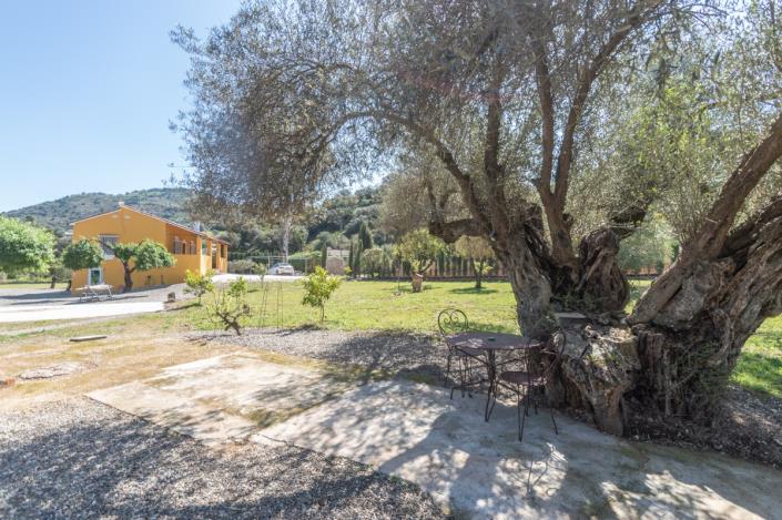 Image No.30-Finca de 4 chambres à vendre à Coin