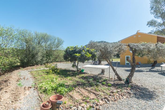 Image No.31-Finca de 4 chambres à vendre à Coin