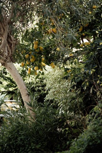 Image No.28-Maison de ville de 7 chambres à vendre à Andratx