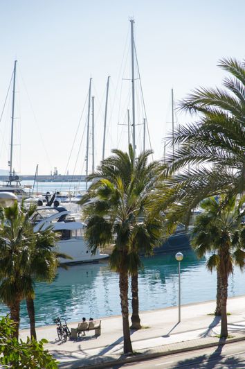 Image No.20-Appartement de 3 chambres à vendre à Palma de Mallorca