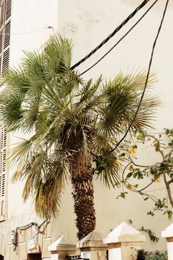 Image No.18-Maison de ville de 6 chambres à vendre à Andratx