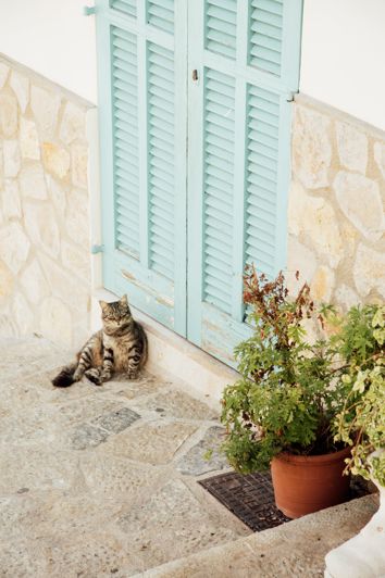 Image No.30-Maison de ville de 6 chambres à vendre à Andratx