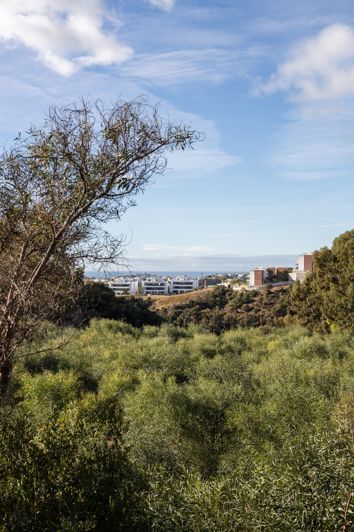 Image No.2-Plot for sale