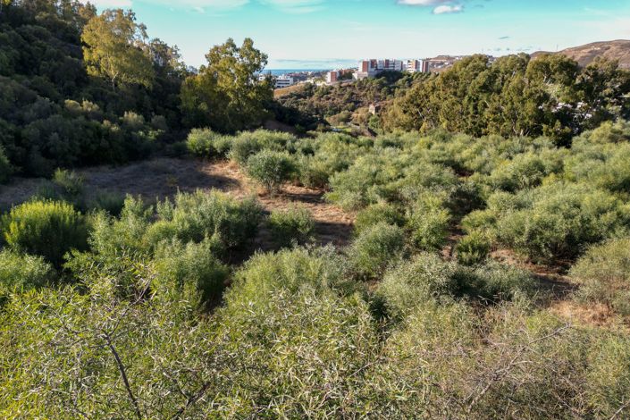 Image No.4-Plot for sale