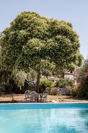 Image No.15-10 Bed Finca for sale