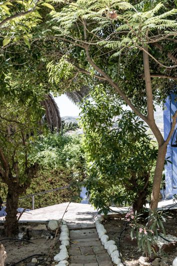 Image No.26-10 Bed Finca for sale