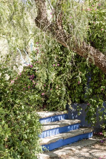 Image No.27-10 Bed Finca for sale