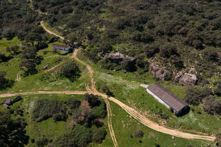 Image No.14-9 Bed Finca for sale