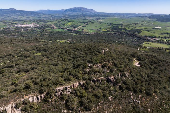 Image No.16-9 Bed Finca for sale