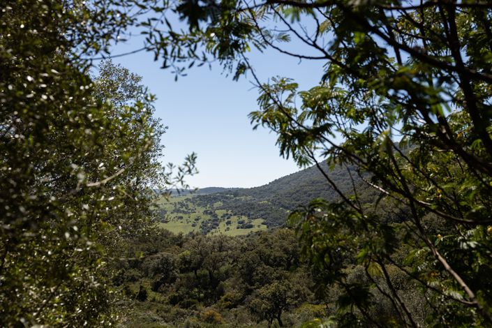 Image No.23-9 Bed Finca for sale