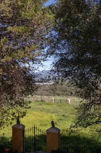 Image No.26-Finca de 9 chambres à vendre à Jimena de la Frontera