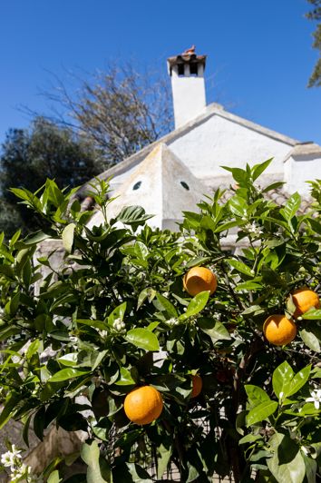 Image No.29-9 Bed Finca for sale