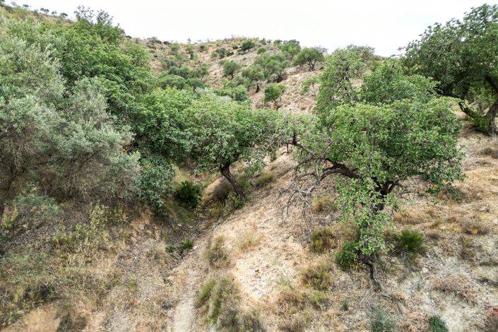 Image No.25-Plot for sale