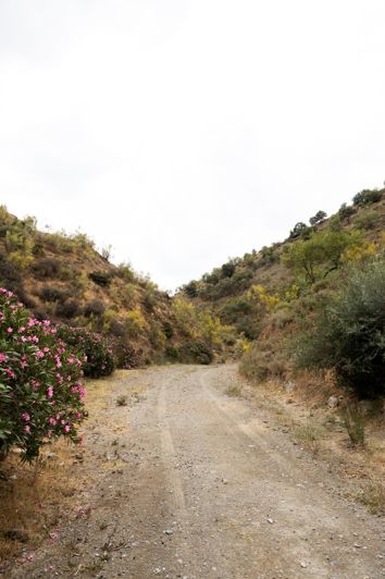 Image No.8-Plot for sale