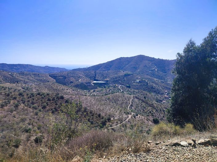 Image No.26-9 Bed House for sale