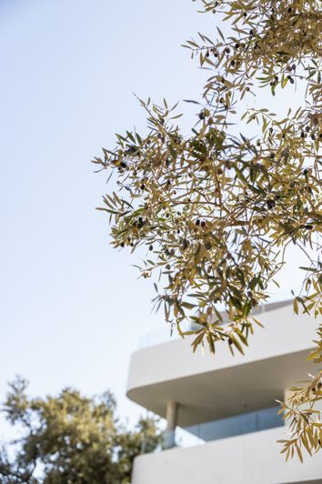 Image No.28-Appartement de 3 chambres à vendre à San Roque