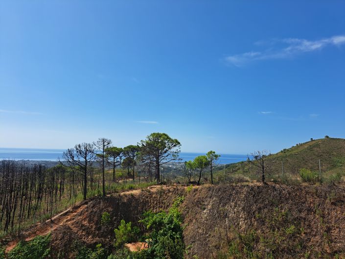 Image No.6-6 Bed Villa for sale