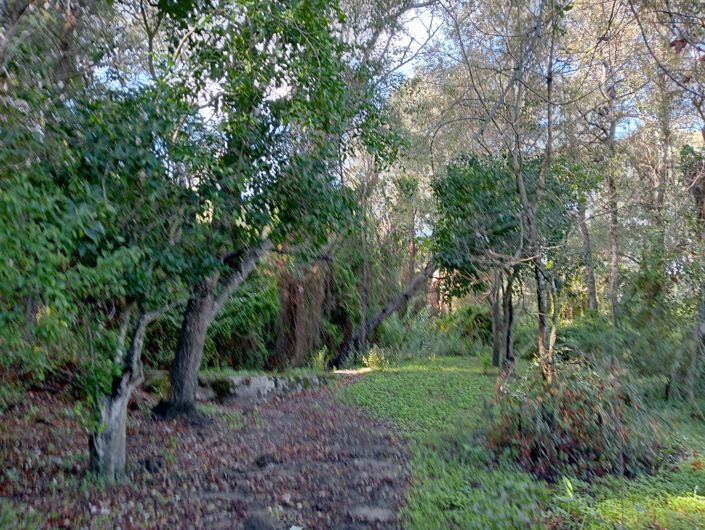 Image No.4-Plot for sale