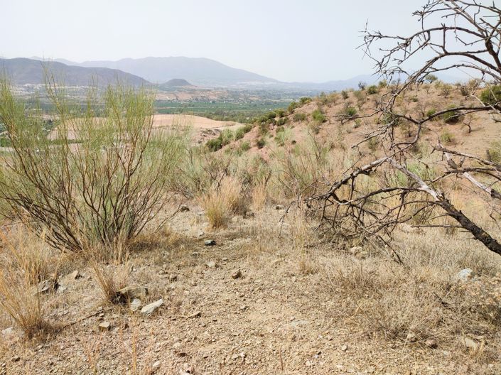 Image No.13-Terrain à vendre à Cartama