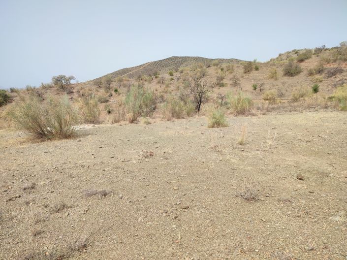 Image No.17-Terrain à vendre à Cartama