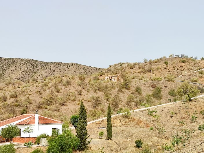 Image No.19-Terrain à vendre à Cartama