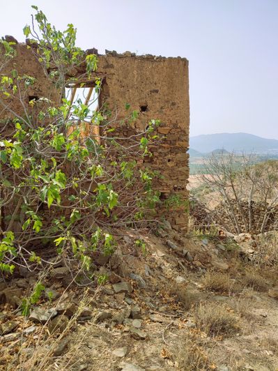 Image No.3-Terrain à vendre à Cartama