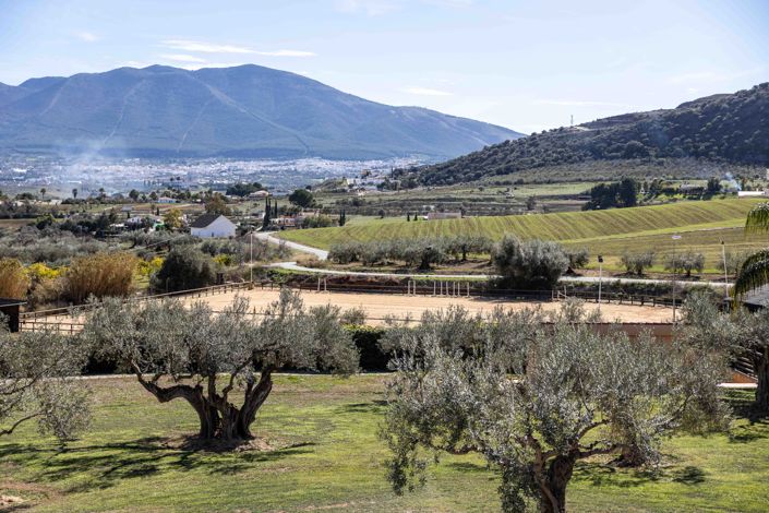 Image No.1-4 Bed Villa for sale