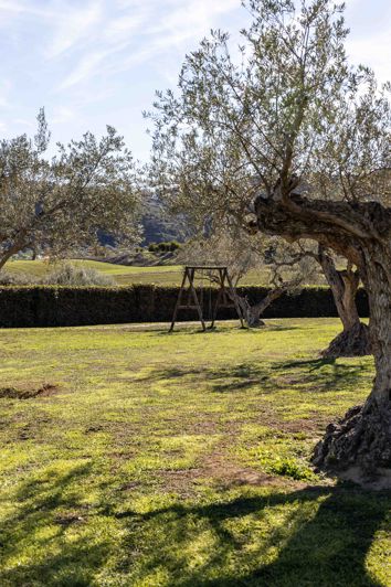 Image No.25-4 Bed Finca for sale