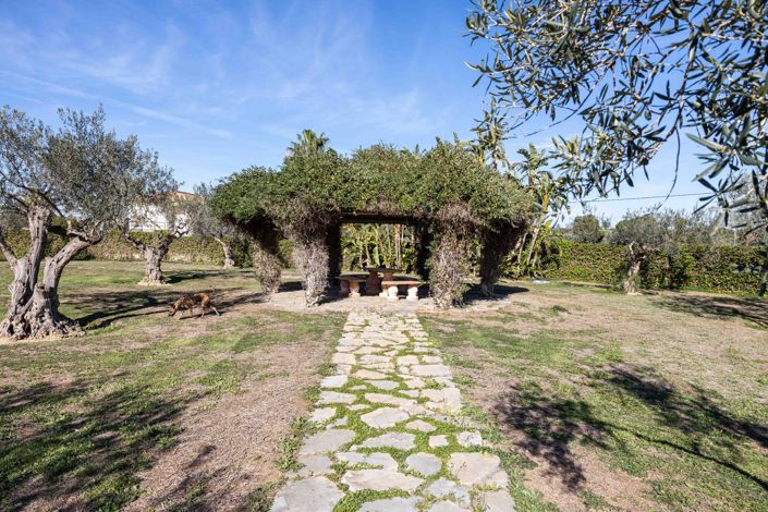 Image No.27-4 Bed Finca for sale