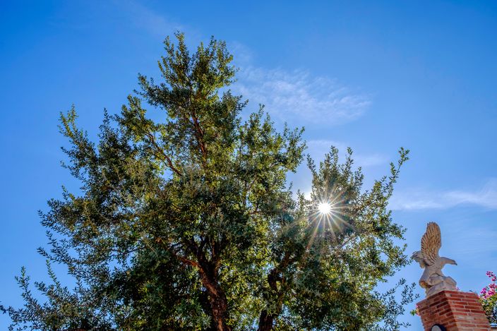 Image No.28-Villa de 6 chambres à vendre à Estepona