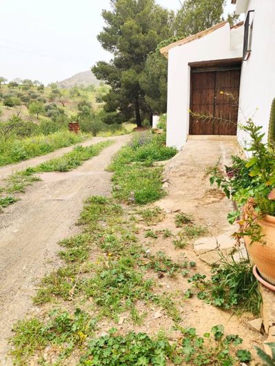 Image No.30-5 Bed House for sale