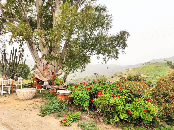 Image No.4-5 Bed House for sale