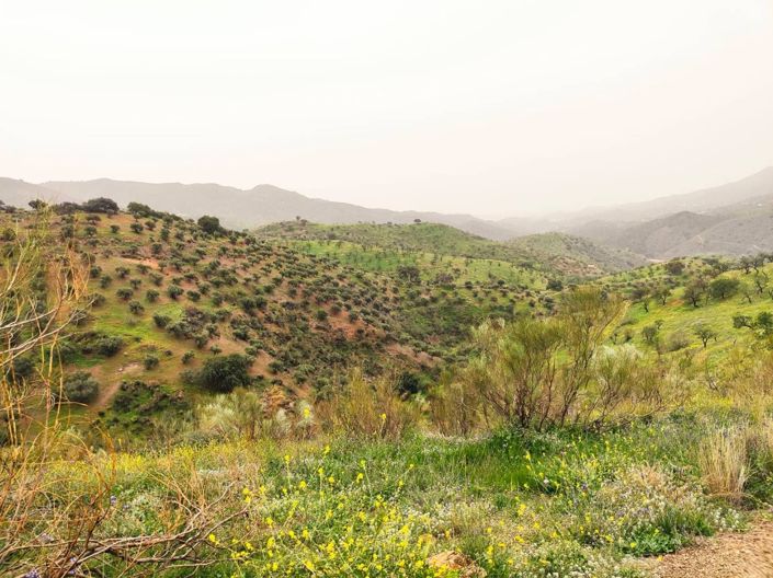 Image No.5-5 Bed House for sale