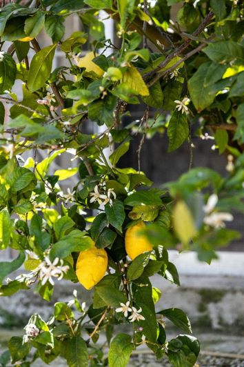 Image No.12-Plot for sale