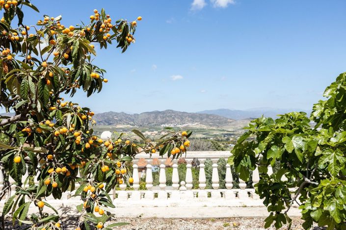 Image No.17-Plot for sale