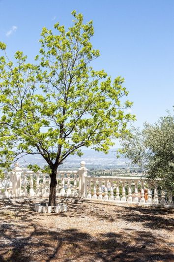 Image No.18-Plot for sale