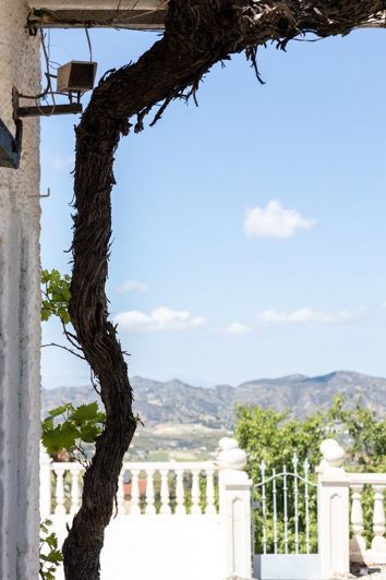 Image No.28-Plot for sale