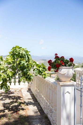 Image No.7-Plot for sale