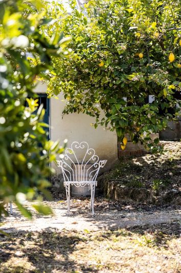 Image No.11-Plot for sale