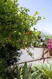 spcrm1150-6qjbwcvflxnfs8sk