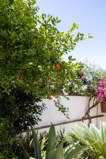 Image No.14-5 Bed House for sale