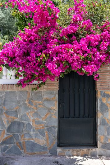 Image No.30-5 Bed House for sale