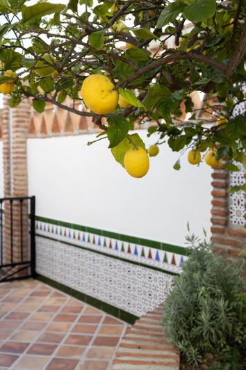 Image No.23-Villa de 4 chambres à vendre à Mijas