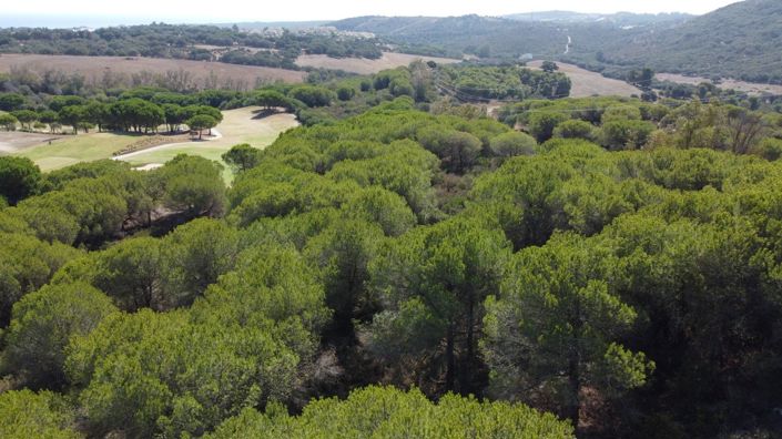 Image No.5-Plot for sale