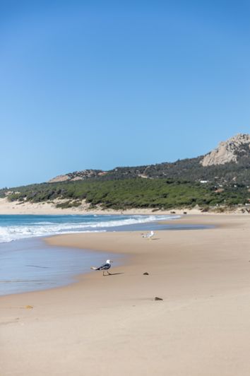 Image No.10-Terrain à vendre à Tarifa