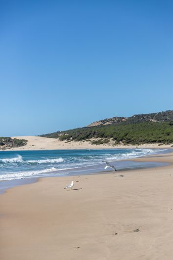 Image No.11-Terrain à vendre à Tarifa