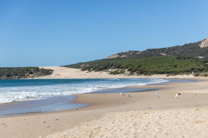 Image No.5-Terrain à vendre à Tarifa